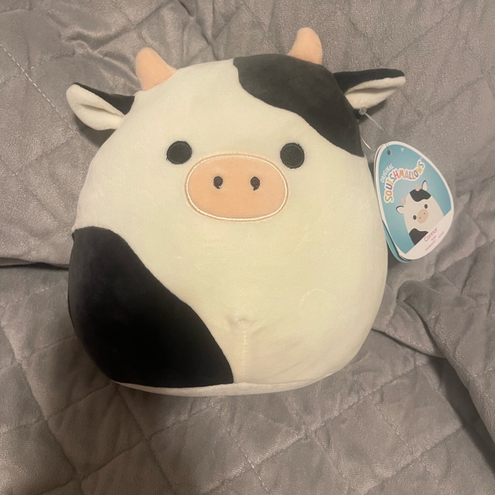 Conner squishmallow